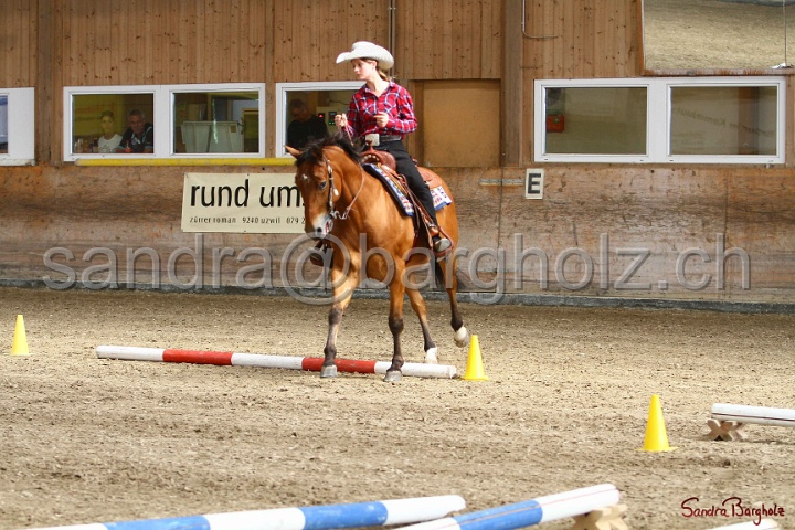 26-ApHC GT_049.jpg